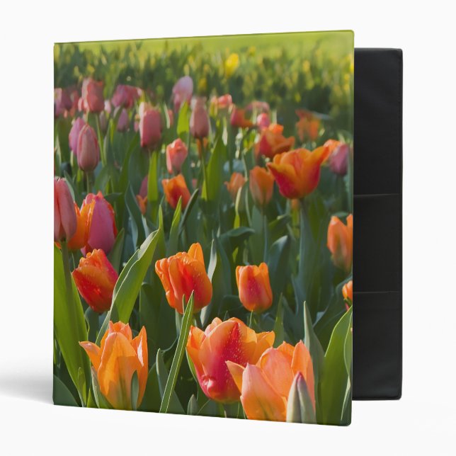 Classeur Tulipes (Devant/intérieur)