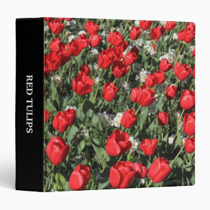 Classeur Tulipes rouges et Primroses blanches