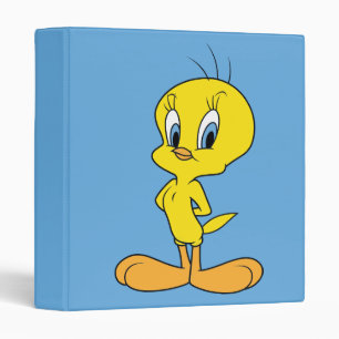 Classeur TWEETY™   Oiseau intelligent