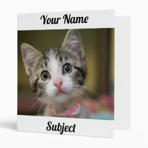 Classeur Un chaton mignon aux yeux verts