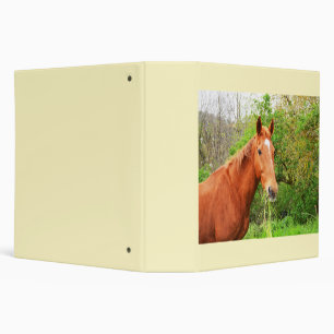 Classeur Un cheval appelé Orion