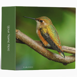 Classeur Un colibri roux étonnant sur des vignes jumelées