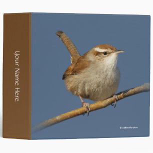Classeur Un curieux Wren de Bewick's Wren dans l'arbre