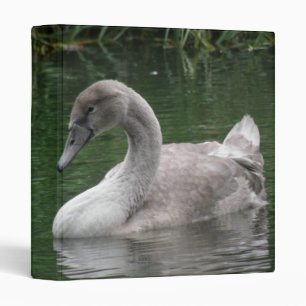 Classeur Un cygne gracieux sur l'eau Album photo