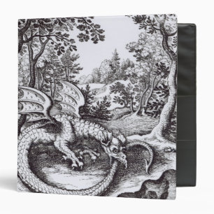 Classeur Un dragon dans la forêt