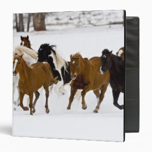 Classeur Un paysage hivernal de chevaux au galop