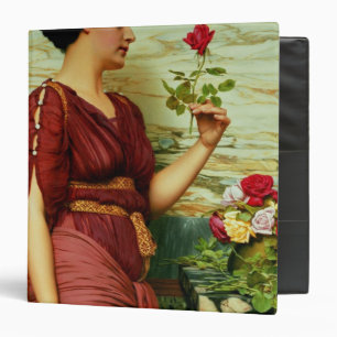 Classeur Un rose rouge et rouge