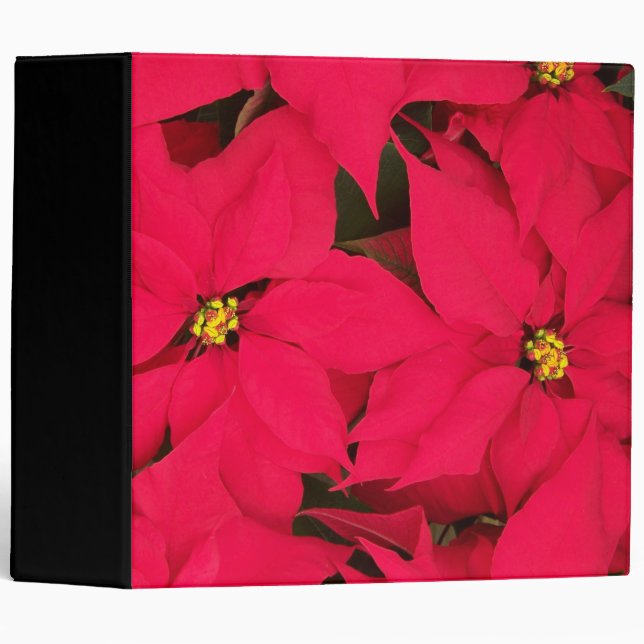 Classeur Un tas de Poinsettias de Noël aux couleurs vives (Devant/Côté)