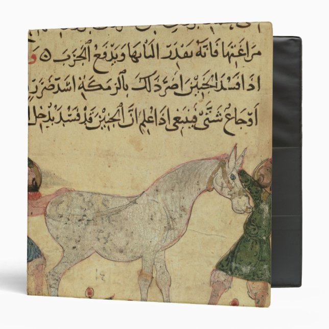 Classeur Un vétérinaire aidant une jument à donner (Devant/Intérieur)