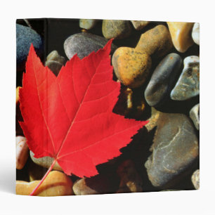 Classeur Une feuille d'érable sur un fond rocheux