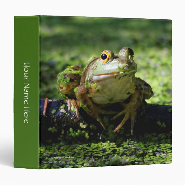 Classeur Une jolie grenouille verte frappe un pot sur le tu (Devant/Côté)