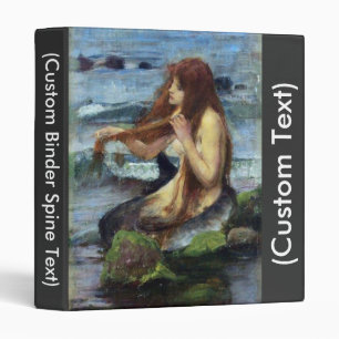 Classeur Une sirène (étude)