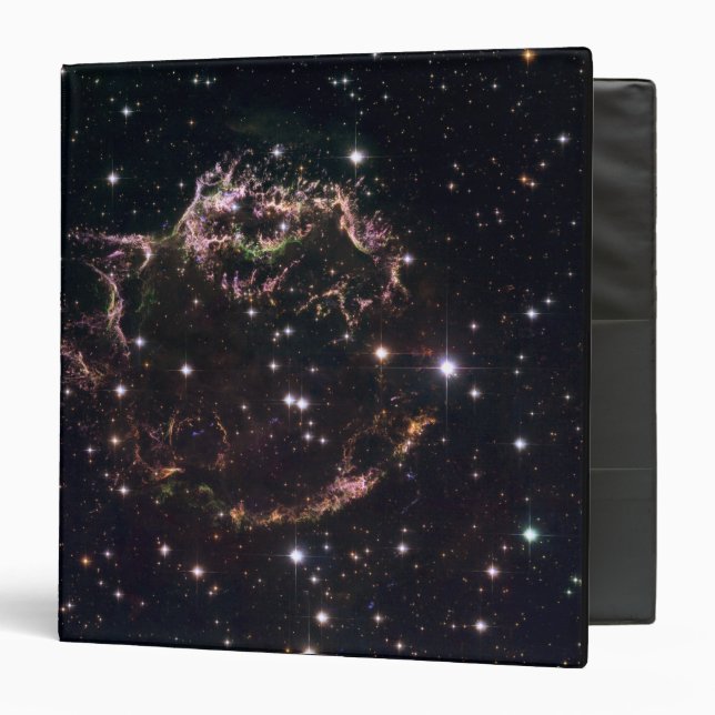 Classeur Une vue détaillée des restes en lambeaux (Devant/Intérieur)