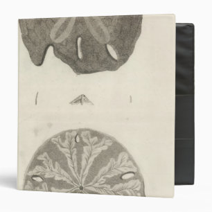 Classeur Urchines de la Grande Mer
