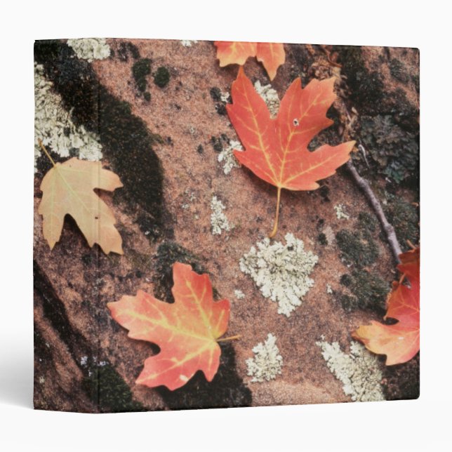 Classeur Utah, parc national de Zion, Motifs d'automne (Devant/Côté)