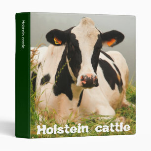 Classeur Vache du Holstein