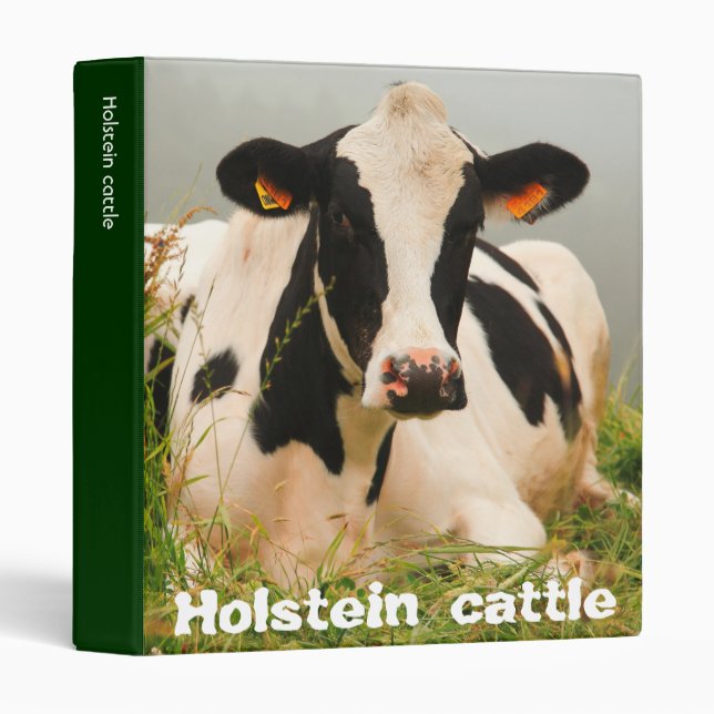 Classeur Vache du Holstein (Devant/Côté)