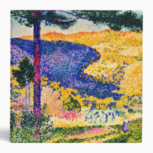 Classeur Vallée vintage avec peinture de Fir