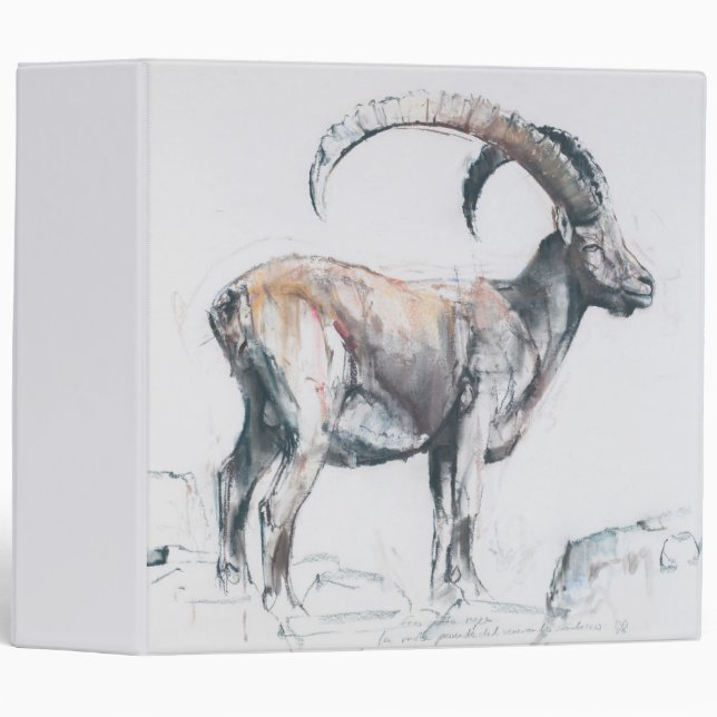 Classeur Venerando Stambecco 2006 (Devant/Côté)