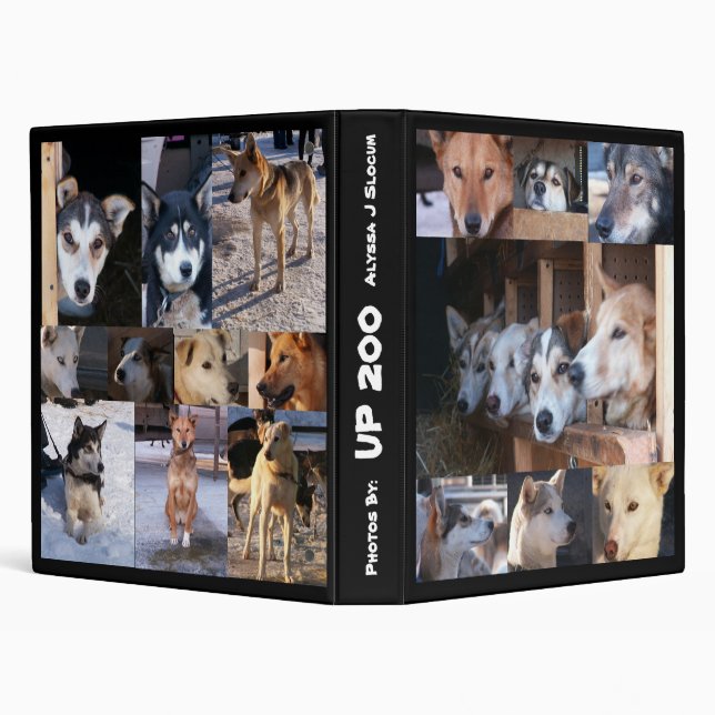 Classeur VERS LE HAUT de 200 chiens (Arrière-plan)