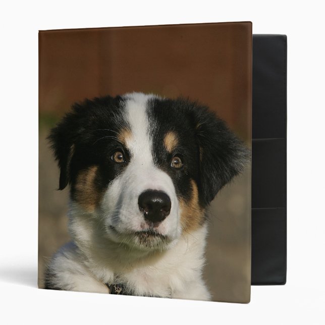 Classeur Vieux Headshot de chiot de border collie de 12 (Devant/intérieur)