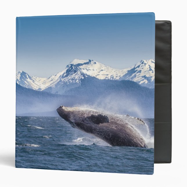 Classeur Violation de la baleine de bosse en Alaska (Devant/Intérieur)