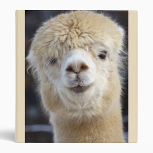 Classeur Visage d'alpaca mignon