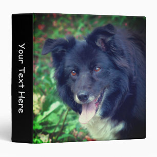 Classeur Visage de chien Border Collie mignon personnalisé