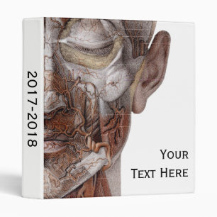 Classeur Visage sans peau de vue Médicale