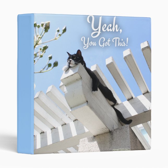 Classeur Vous Avez Cette Photo Motivative De Chat Qui Dit : (Devant/Côté)