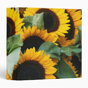 Classeur Washington, Seattle, Tournesol à vendre pike