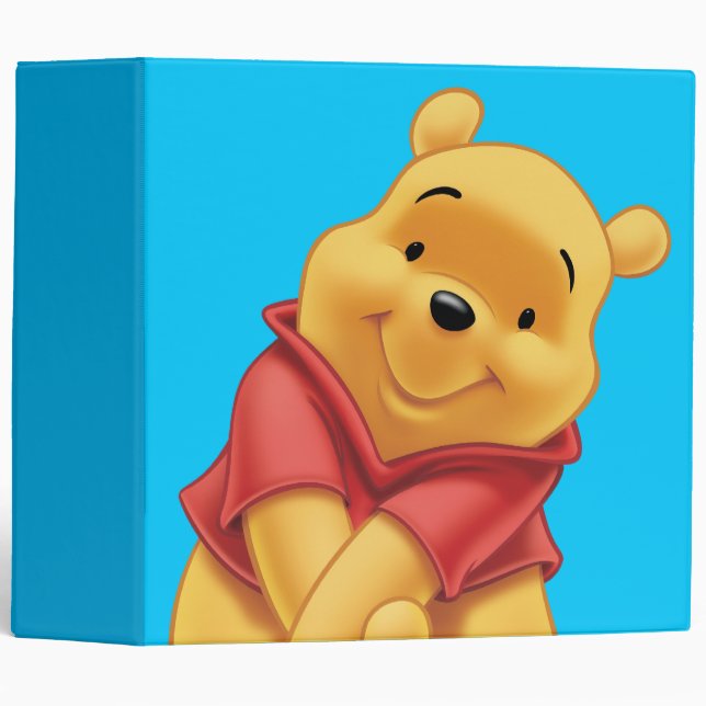 Classeur Winnie l'Ooh 13 (Devant/Côté)