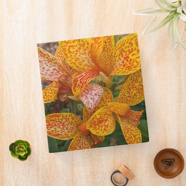 Classeur Yellow Canna Lily with Red Speckles Floral (In Situ)