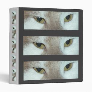 Classeur Yeux de chat