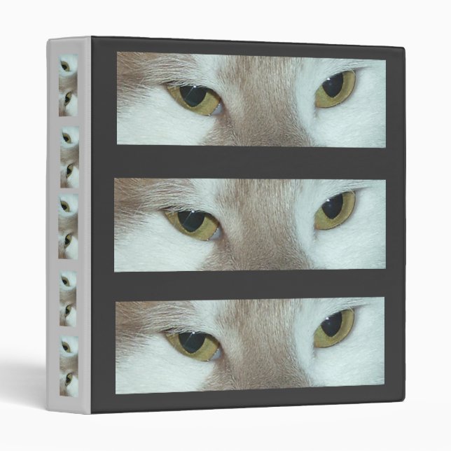 Classeur Yeux de chat (Devant/Côté)