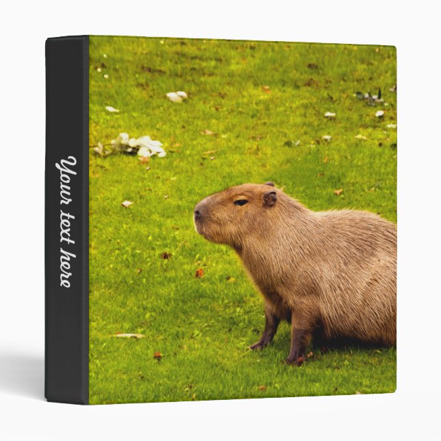 Classeurs Capybara (Devant/Côté)