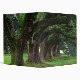 CLASSEURS PERSONNALISABLES D'ARBRES DE LA