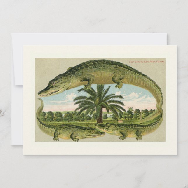 Classic Alligator Moving Announcement (Front)