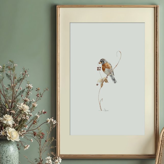 Classic American Robin Watercolor Art with Berries Poster (Creator Uploaded)