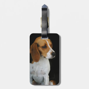 Classic Beagle Luggage Tag
