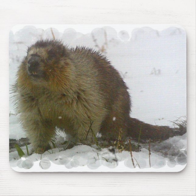 Classic Beavers Mouse Pad (Front)
