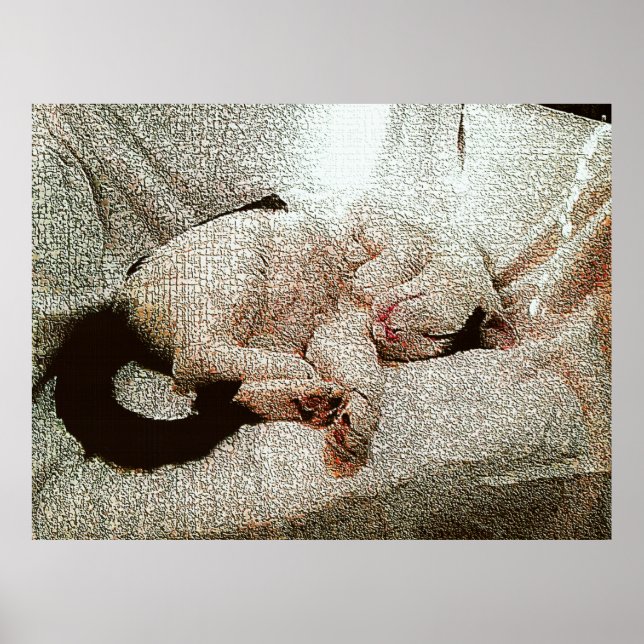 Classic Bob Poster (Front)