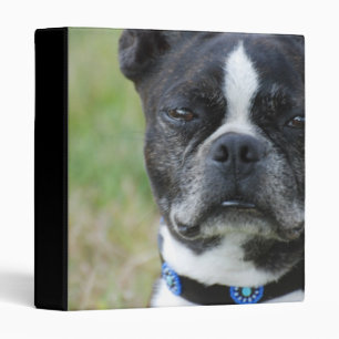 Classic Boston Terrier Dog Binder