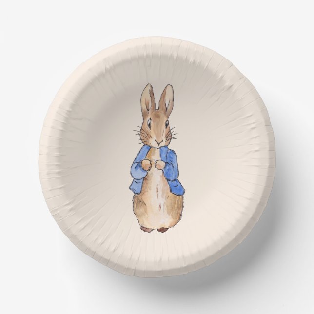Classic bunny rabbit blue jacket paper plate (Front)