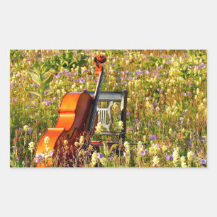 Classic Cello in a field of wildflowers Sticker