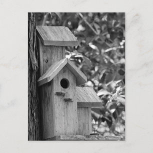 Classic Country Postcard