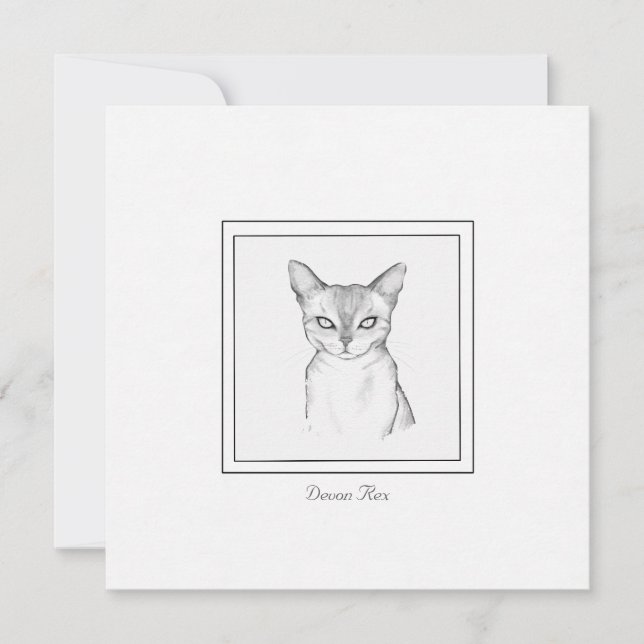 Classic Devon Rex Cat Chalk Drawing Note Card (Front)
