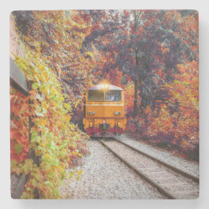 Classic Diesel Train Engine in the Fall Stone Coaster