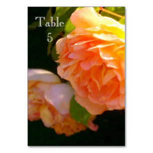 Classic elegant orange peachy Roses Table Number