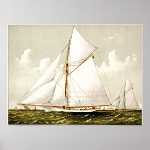 Classic Etching - Sailboats Poster